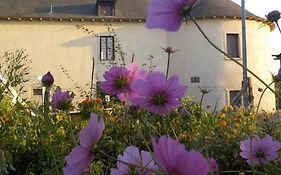 Manoir de la Guignardiere